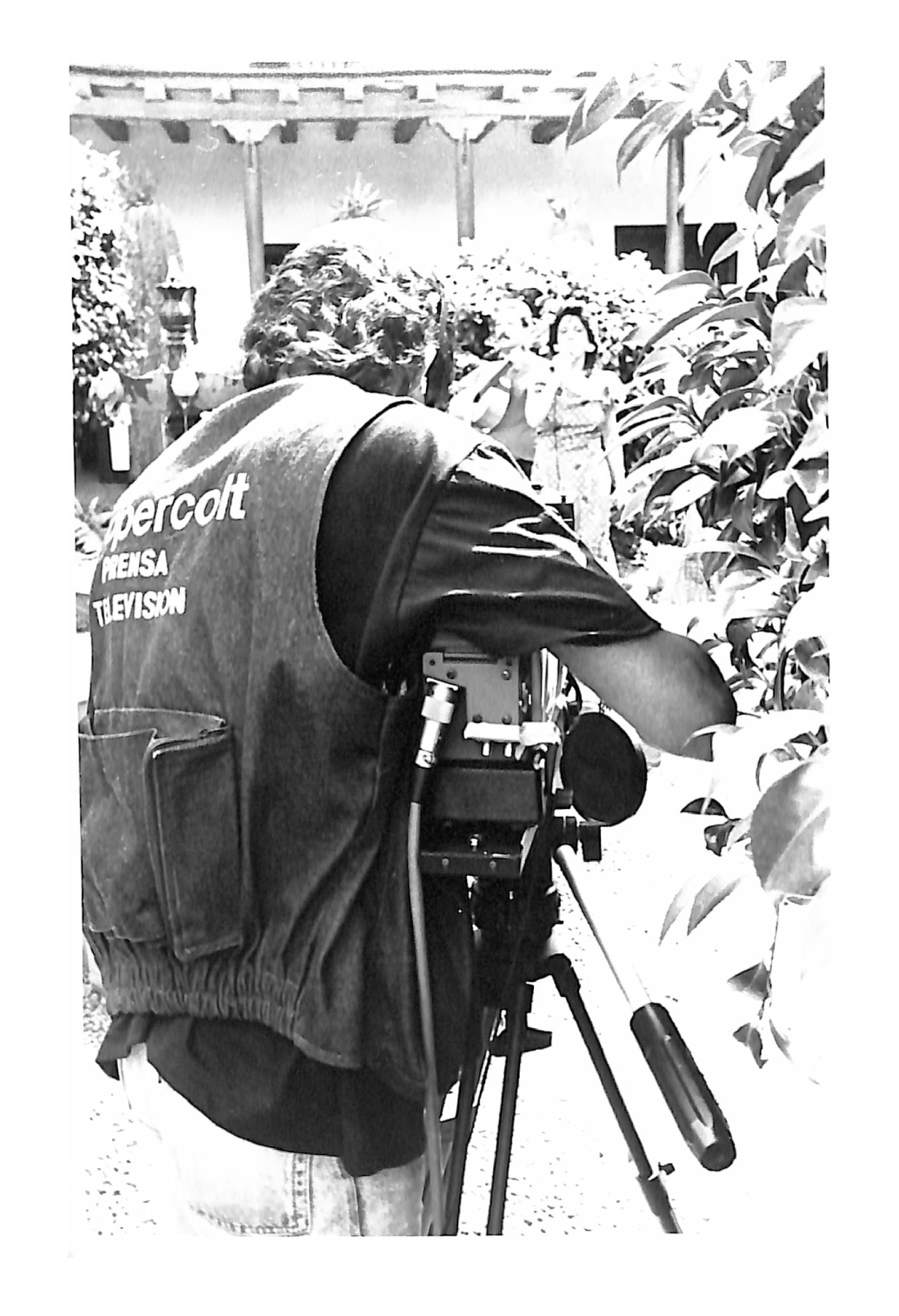 Fotografías Alfredo Laserna