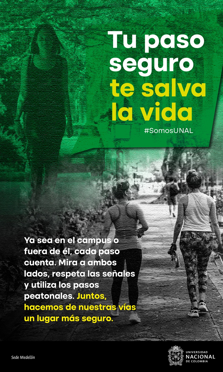 Campaña de seguridad vial 5