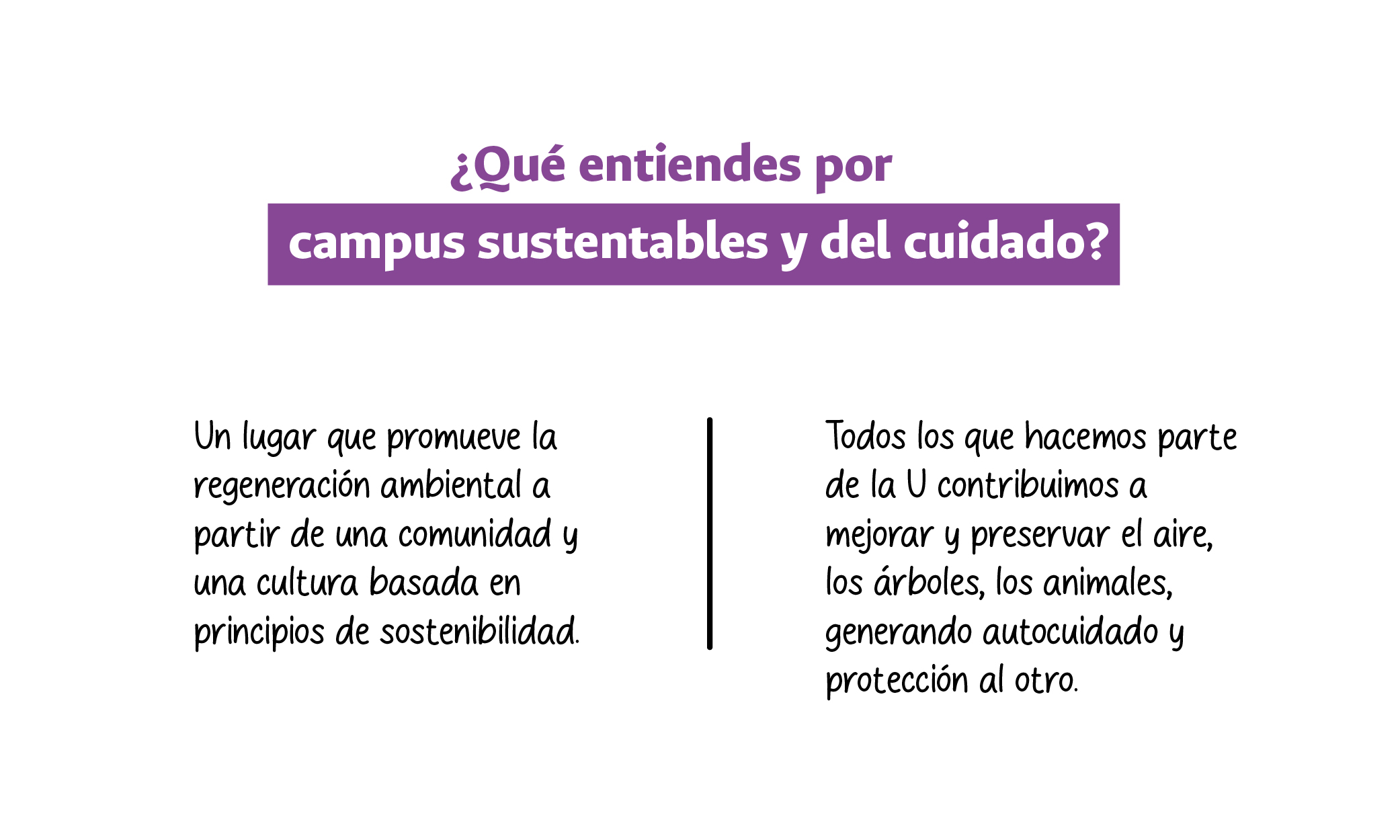 Testimonios 5