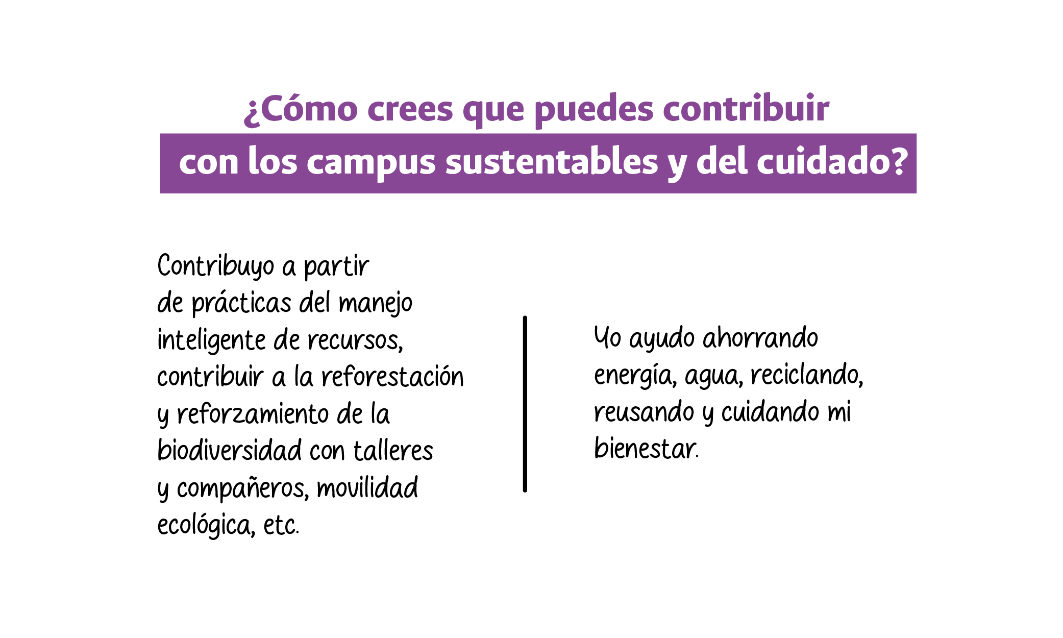 Testimonios 6