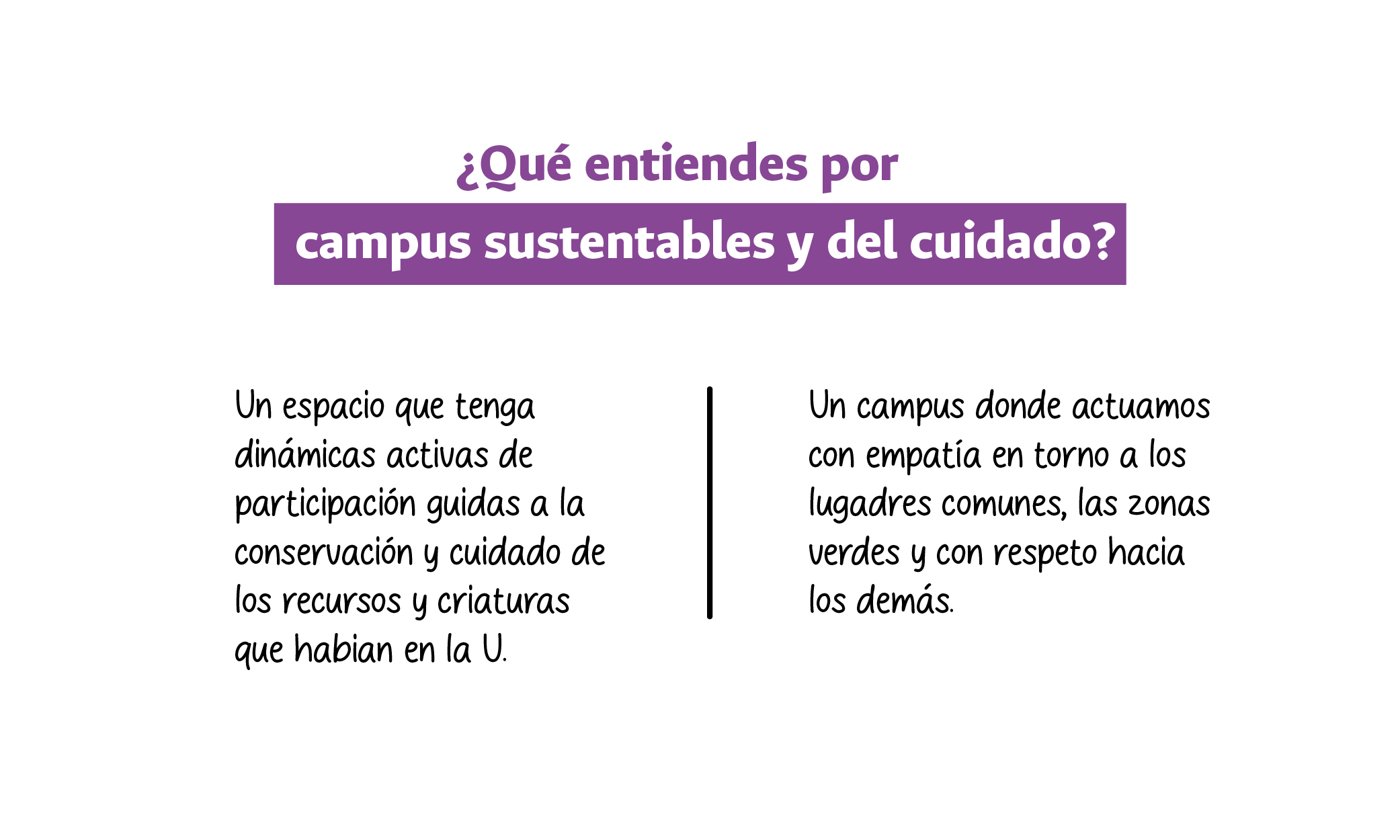 Testimonios 13