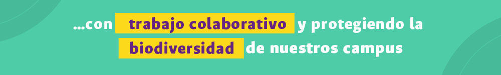 Banner IDEA