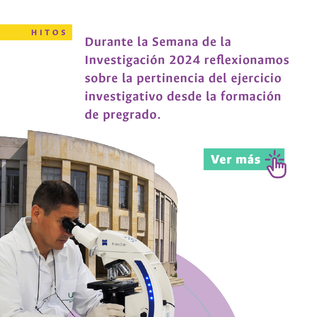 Hito Investigación