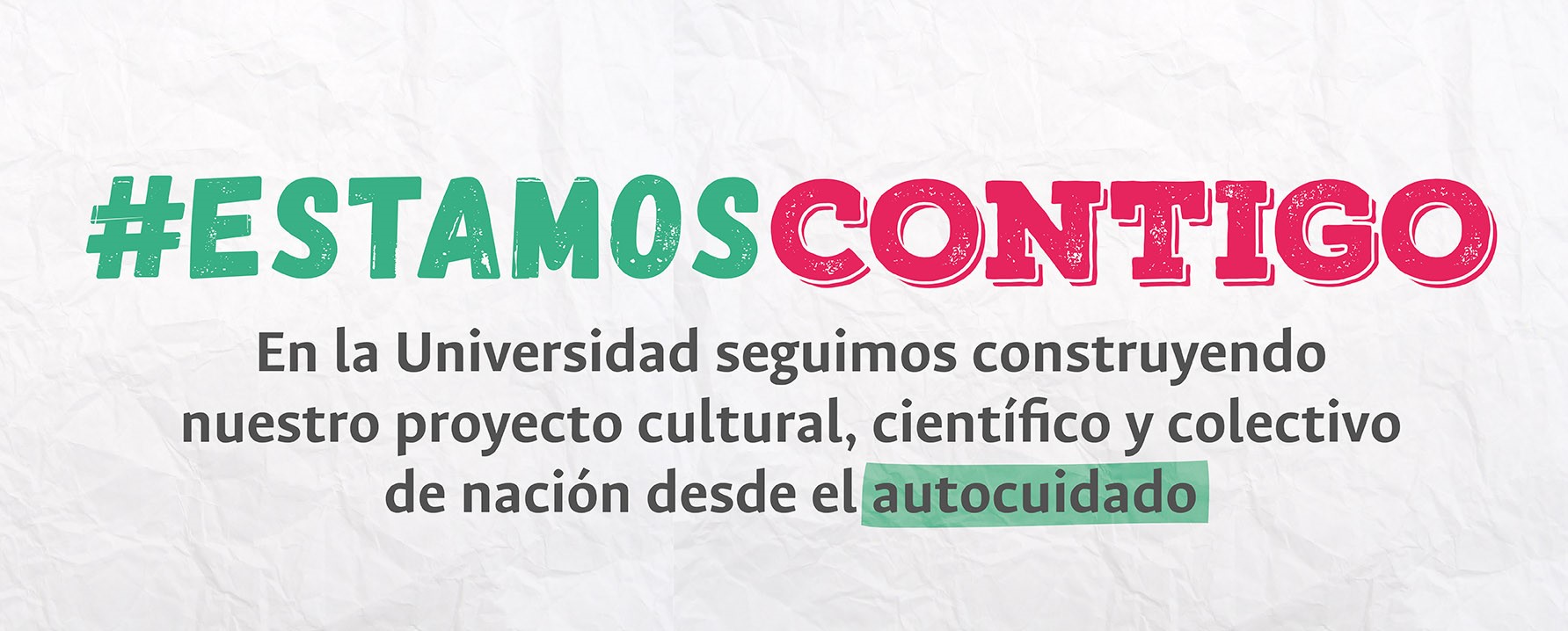 Construyendo proyecto