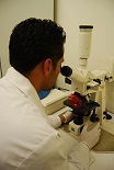 laboratorio