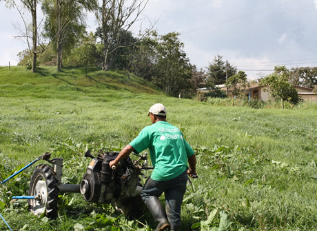 El Diplomado en Agroecología y Desarrollo Territorial tiene como objetivo fundamental impulsar procesos desde las identidades culturales locales y cuenta con apoyo de organizaciones internacionales.