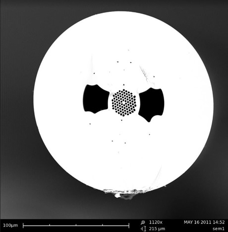 Fibra de cristal fotónico de pocos modos obtenida con un microscopio electrónico de barrido.