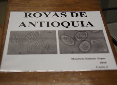 El profesor jubilado Pablo Buriticá, donó a la U.N. la mayor colección privada de royas de Colombia.