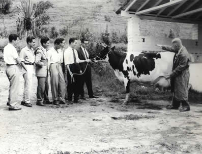 El programa de Zootecnia, creado en 1961, es líder en el país en esta área del conocimiento.