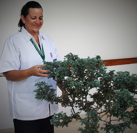 La jardinería es su válvula de escape.