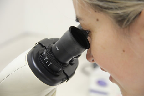 En el país la cultura de investigación debe ir acompañada de una política pública de CT+I.