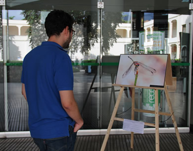 El encuentro estuvo sazonado con una exposición en la que los insectos fueron los protagonistas.