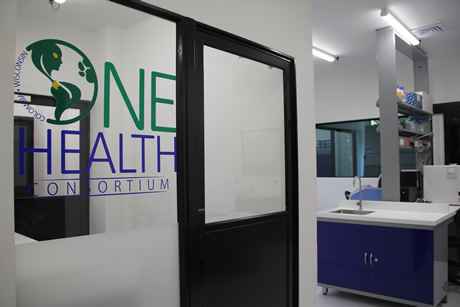 El Colombia Wisconsin One Health Consortium - Centro de Investigación, Desarrollo e Innovación en Salud Humana, Animal y del Medio ambiente es liderado por la U.N., la Universidad de Wisconsin-Madison y Ruta N.