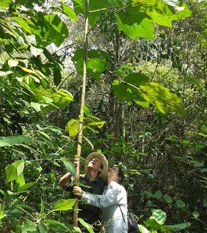Se precia de tener una casa en un bosque, en el que junto a su esposo han introducido especies nativas desde 2012. Foto cortesía.