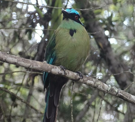 Le gusta también la fotografía de naturaleza y no pierde oportunidad para hacer imágenes. Foto cortesía.