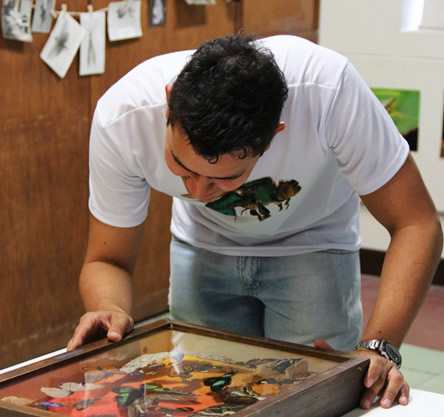 En el evento se mostraron algunos proyectos de aprovechamiento de insectos.