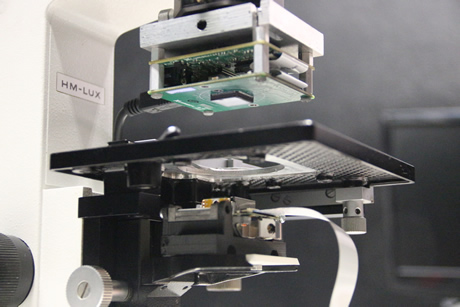 La microscopía se utiliza en el diagnóstico de enfermedades, mayoritariamente.