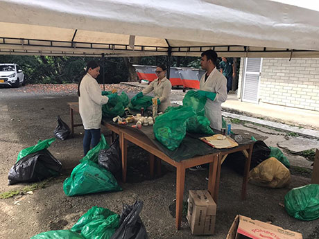 El mejoramiento de la separación en la fuente, compra de nuevos recipientes, diseño e implementación de campañas de educación y sensibilización son algunos de los resultados de la caracterización. Foto: cortesía.