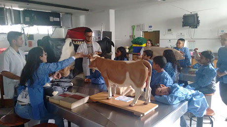 El programa Los Niños Científicos busca un descubrimiento de vocaciones tempranas hacia el conocimiento y la investigación. Foto: cortesía Gloria Arroyave.
