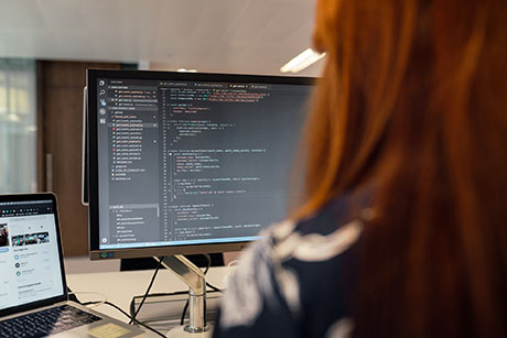 La Sección de Aplicaciones garantiza el funcionamiento de los servicios de la infraestructura y de los diferentes sistemas informáticos y de comunicaciones. Foto: Pixabay.