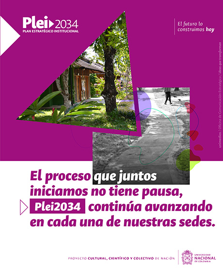 Toda la información sobre el Plan Estratégico Institucional 2034 puede ser consultada en http://plei2034.unal.edu.co/