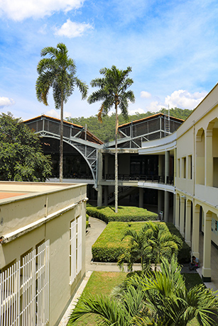 En el desarrollo de la tercera fase, la UNAL Medellín, presentó seis propuestas que tienen que ver con la articulación de la Univesidad en el entorno local y regional, educación inclusiva, ética y ciudadanía, sostenibilidad, patrimonio y desarrollo institucional y gobernanza y gobernabilidad.
