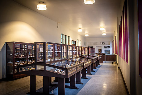 Entre las riquezas culturales de la Sede se encuentran: 3 salas de exposiciones, 11 lugares de interés natural, artístico o patrimonial, 11 grupos de investigación, 5 centros editoriales, 15 cátedras de cultura y patrimonio, 65 actividades culturales, y 16 grupos artísticos institucionales.