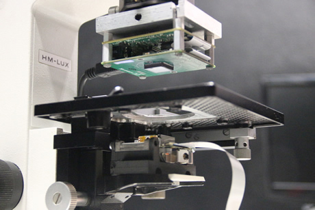 La microscopía se utiliza principalmente para el diagnóstico de enfermedades.