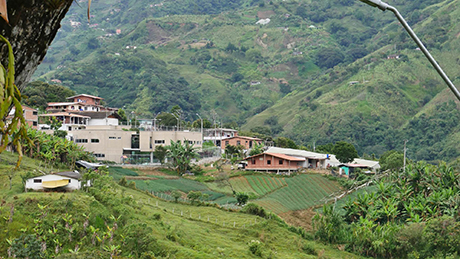 La Alianza por el Territorio y la Vida Campesina se prolongó hasta marzo del 2026. Foto: cortesía Corporación Penca de Sábila.
