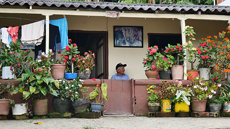 En el 2014 las comunidades campesinas de Medellín lograron que el POT incluyera la figura del Distrito Rural Campesino, que habla de su participación, la economía rural y prioriza el derecho de las poblaciones a estar en su territorio y defender su patrimonio. Foto: cortesía Corporación Penca de Sábila.