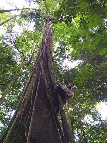 Como parte de sus objetivos el pregrado en Ingeniería Forestal estudia el patrimonio natural y cultural, y procura por su conservación. Foto: cortesía Oficina de Comunicaciones y Eventos de la Facultad de Ciencias Agrarias.