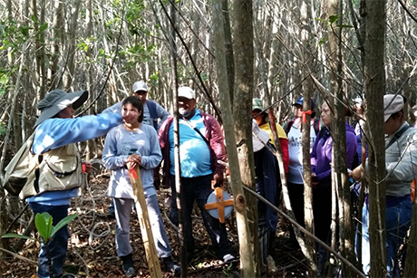 Ingeniería Forestal ha incluido en la formación académica el componente social. Foto: cortesía Oficina de Comunicaciones y Eventos de la Facultad de Ciencias Agrarias.