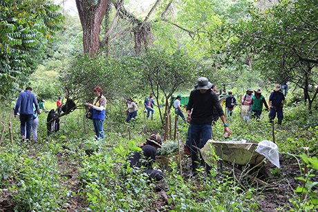 León Morales Soto y funcionarios de la Estación Agraria Cotové dieron indicaciones de cómo hacer la siembra. Foto: Unimedios.