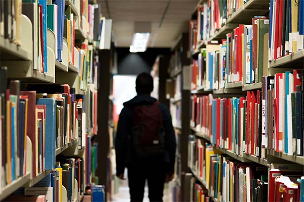 “Una de las apuestas del pedagogo es no limitarse a lo que sucede en la escuela sino pensar pedagógicamente el mundo y ciertos asuntos de la sociedad con una matriz educativa”, Andrés Klauss. Foto: Pixabay