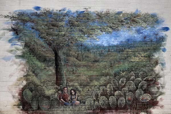 Mural "Biblioteca natural" realizado por el estudiante Daniel López y ubicado en el bloque M17 del Campus Robledo. Foto: cortesía Daniel López