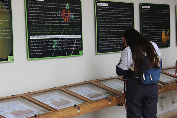 Algunas de las apuestas han sido las exposiciones. Foto: Unimedios.