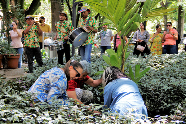 Colegas y familiares del profesor Ariel plantaron una palma en su honor. Foto: Unimedios.