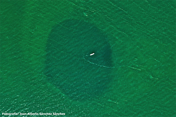 El Taam ja’ es el segundo agujero azul más profundo del mundo. Foto: Joan Alberto Sánchez Sánchez.