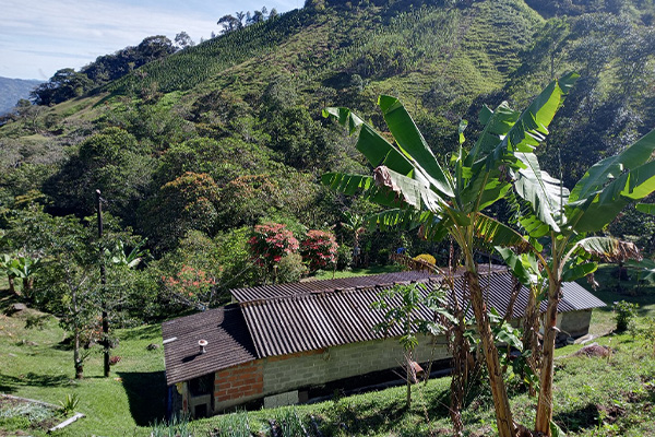 Vivienda en una de las zonas rurales donde realiza sus labores el grupo. San Rafael, Oriente antioqueño.  Cortesía SAGEMA.