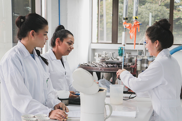 Ingenieros Capacitan Profes