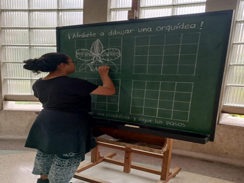 El Herbario de la UNAL Sede Medellín conmemora 97 años de una de las colecciones biológicas más relevantes del país. Foto cortesía Red Cultural.