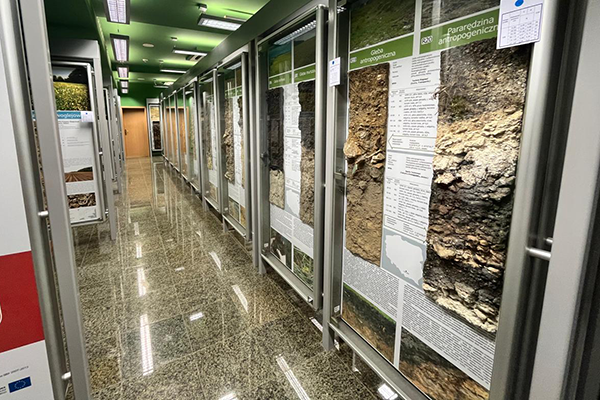Reunión de la Sociedad Polaca de Ciencias del Suelo en el auditorio del Museo de Suelos, a la espera de la conferencia de la profesora Zuluaga. Foto Cortesía de la ORI UNAL Medellín.