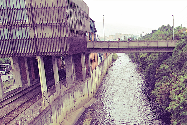 Foto cortesía Luis Alfonso  Yepes.
