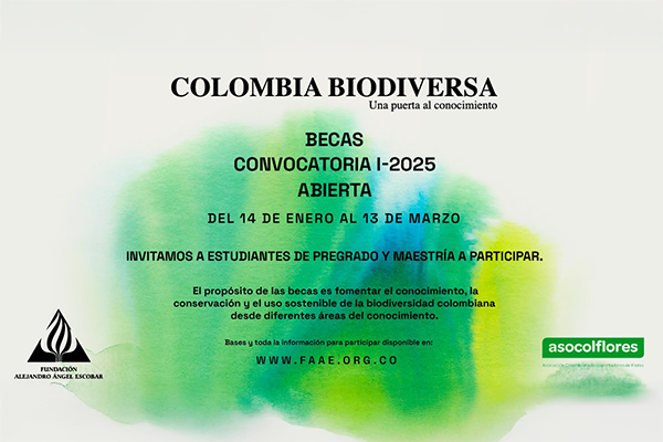 Las Becas Colombia Biodiversa están dirigidas a estudiantes de pregrado y maestría para apoyar tesis de grado sobre conocimiento, conservación y uso sostenible de la biodiversidad de Colombia. Foto Fundación Alejandro Ángel Escobar.