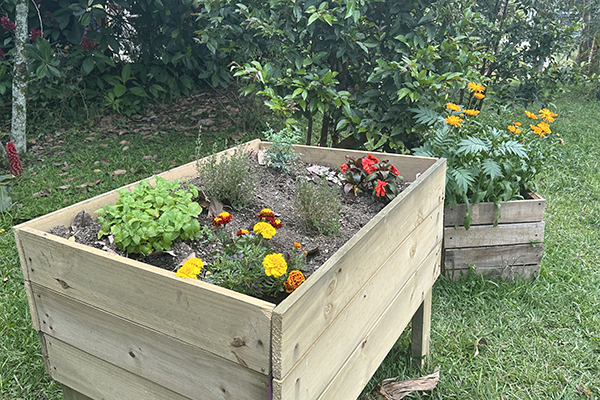 En las pacas biodigestoras cultivan plantas ornamentales y aromáticas. Foto de Unimedios.
