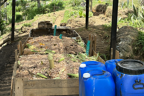 Los residuos orgánicos también los tratan mediante una pila de compostaje. Foto de Uiumedios.