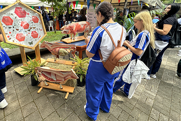 Aunque se ha realizado en diversas ocasiones, esta es oficialmente la primera versión de la Feria Mi Futuro en la UNAL. Foto Unimedios.