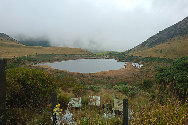 Junto con los volcanes nevados Santa Isabel y del Tolima, el del Ruiz forma parte del área protegida del Parque Nacional Natural Los Nevados. Foto cortesía.