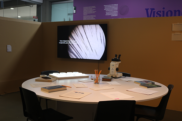 "Laboratorio de especulación", por Valentina Tobón. Foto cortesía Oficina de Comunicaciones Facultad de Arquitectura.