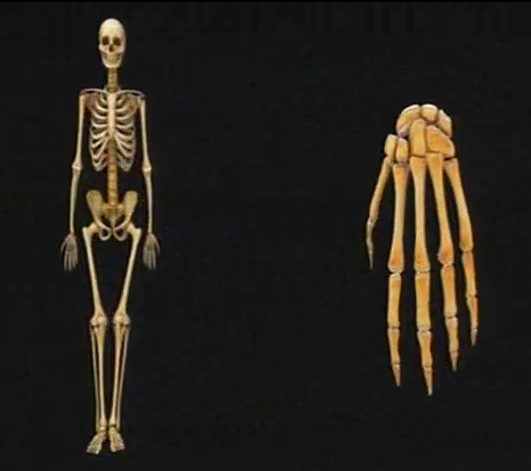 906